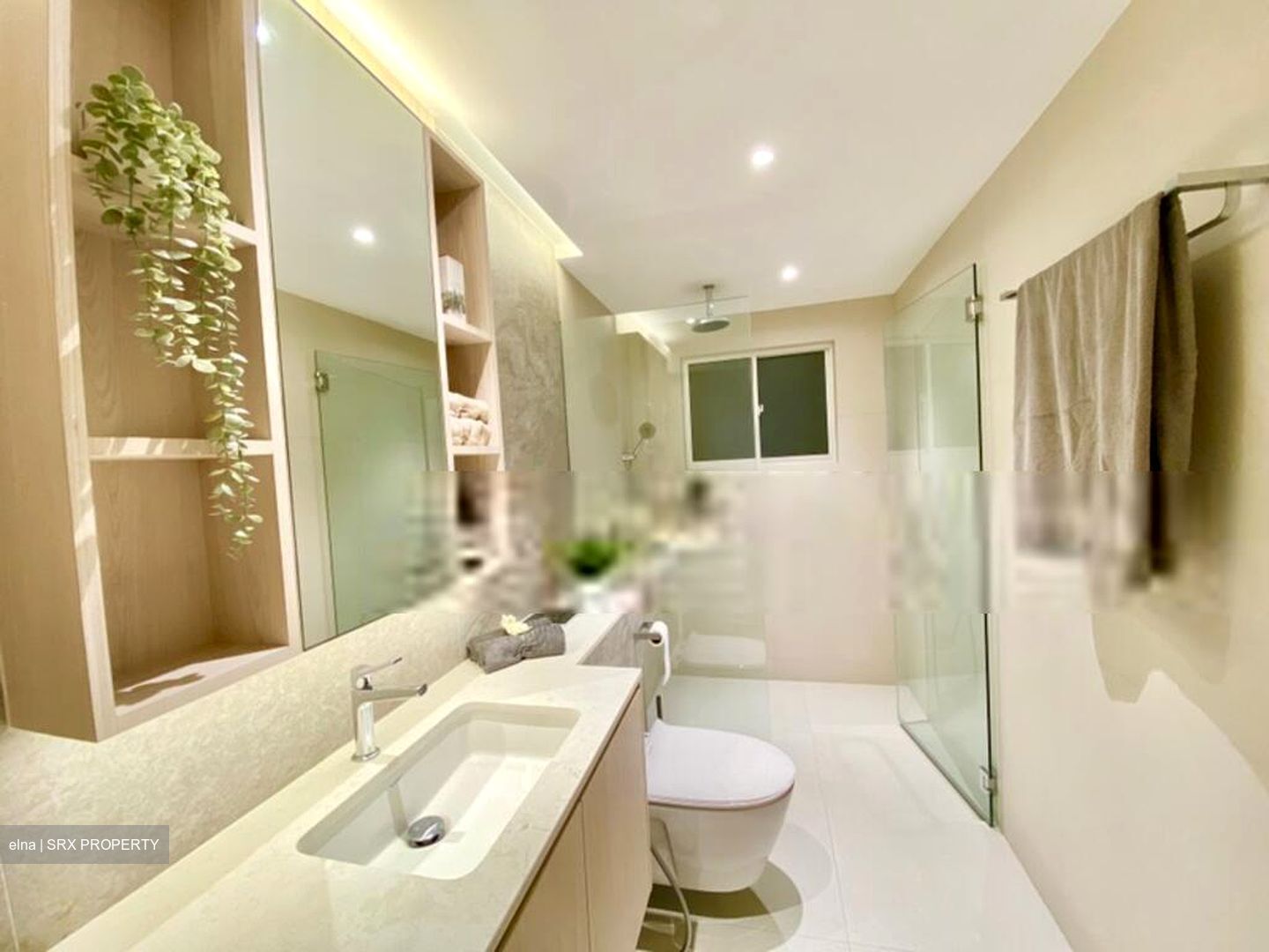 Cavenagh House (D9), Apartment #573373861